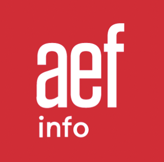 LOGO AEF INFO